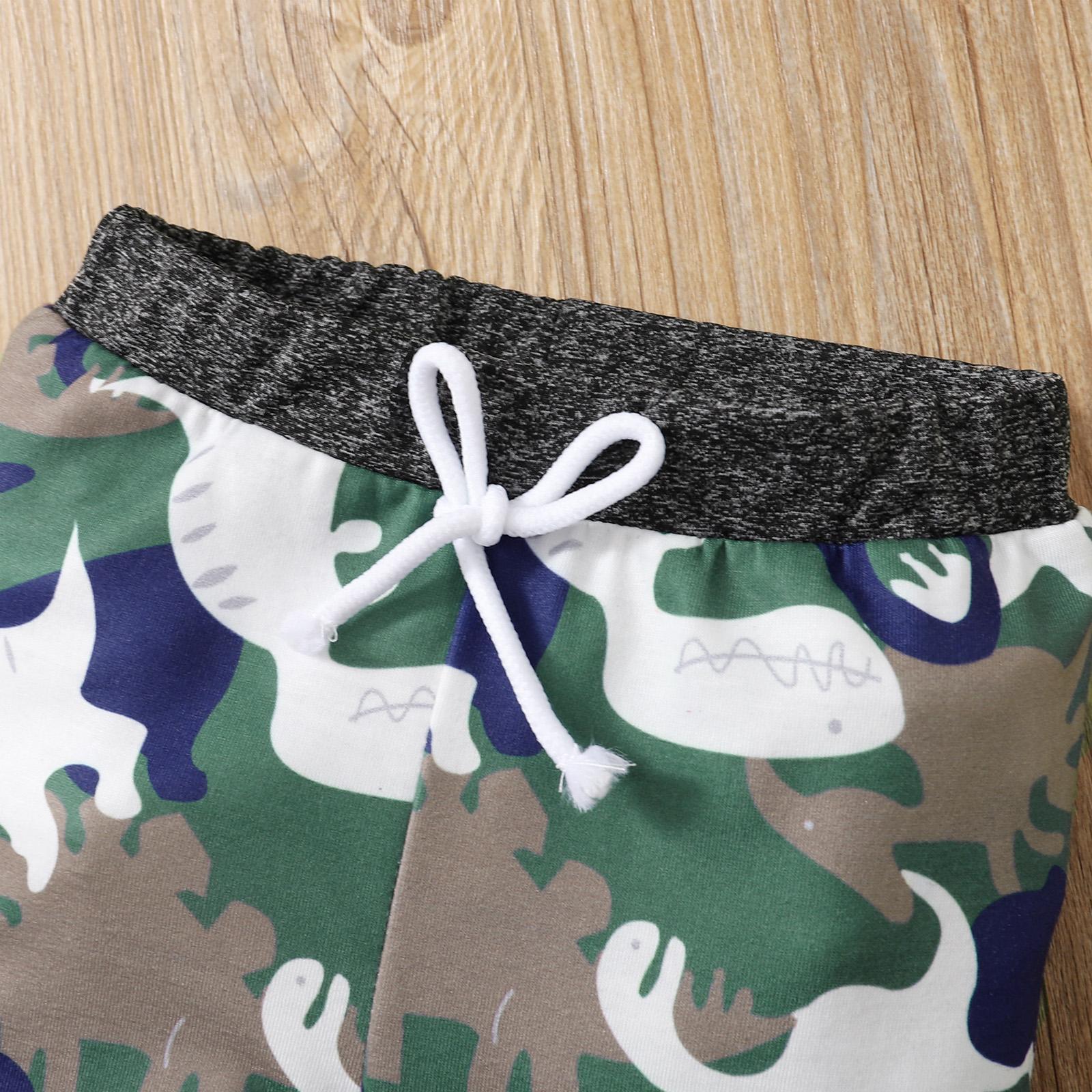 6-24M KIDS fashion Boys Outfits Camouflage Pocket Hoodie Camouflage Splice Dinosaur Print Pants 2Pcs Clothes Set For Winter Gray Catpapa 22108776